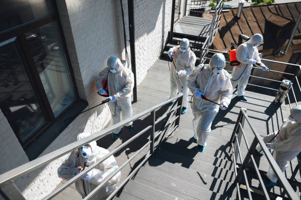 Best Mold Remediation for Healthcare Facilities  in Ovid, MI