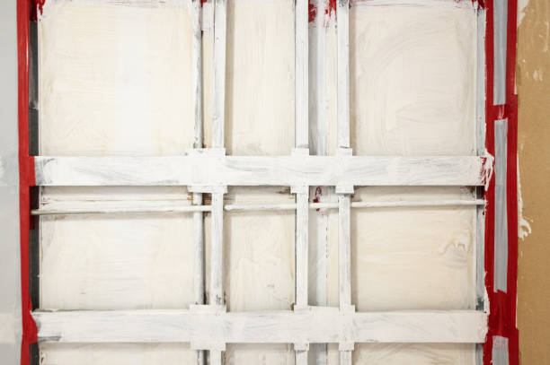 Best Industrial Mold Remediation  in Ovid, MI