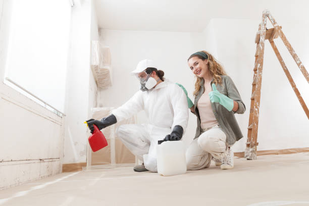 Best Post-Construction Mold Inspection  in Ovid, MI