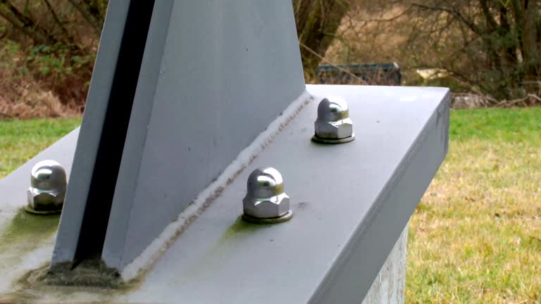 Best Real Estate Mold Inspection  in Ovid, MI