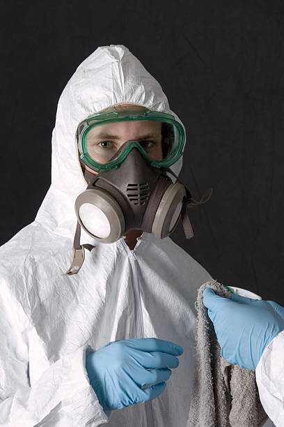 Best Mold Prevention Services  in Ovid, MI
